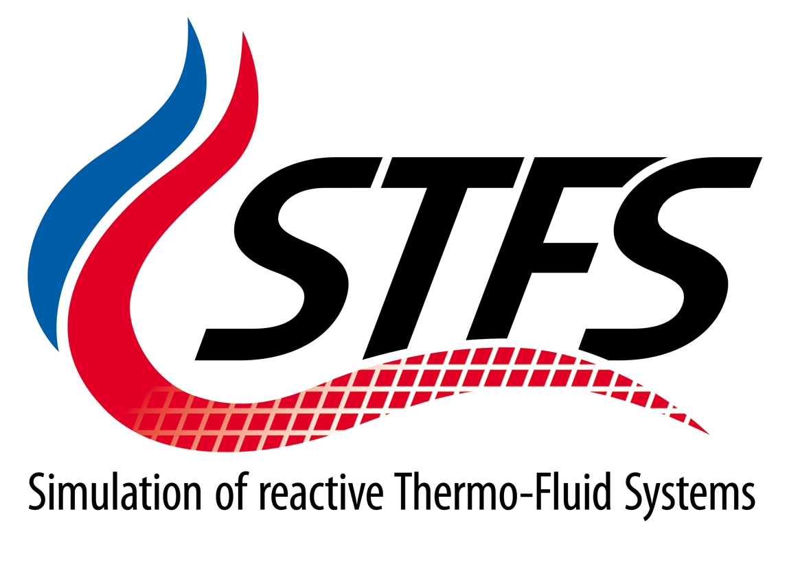 logo STFS